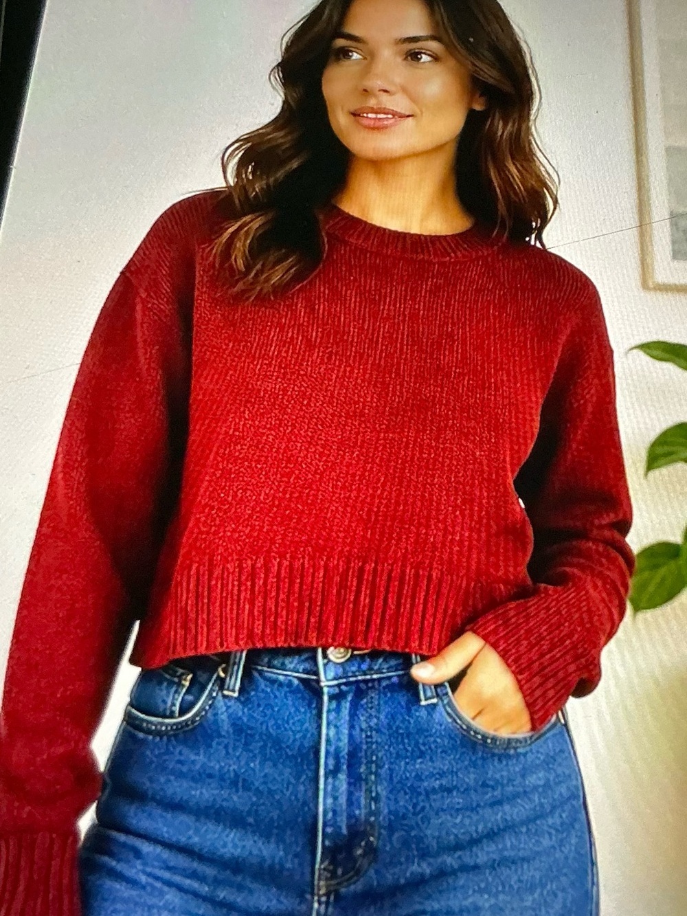 H&M DIVIDED WINE CREW NECK CROPPED KNIT SWEATER (xs)